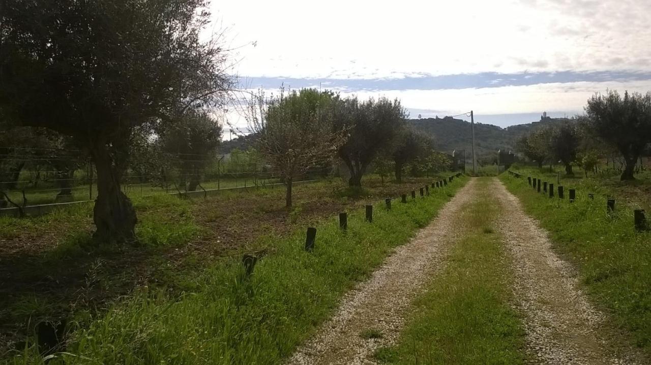 Hotel Monte Da Pega Monsaraz Exteriér fotografie
